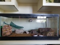 20170704_125840.jpg
