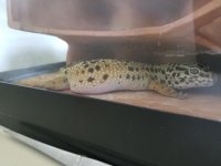 20170704_125854.jpg