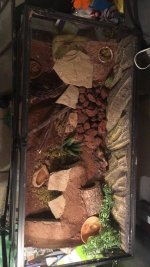 top view.jpg