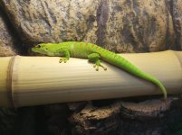 IMG-20170723-WA0003.jpg