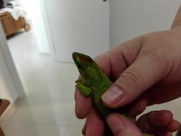 IMG_20170724_073811.jpg