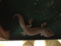 IMG_1507.jpg IMG_1507.jpg