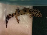 IMG_1510.jpg IMG_1510.jpg