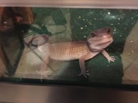 IMG_1508.jpg IMG_1508.jpg