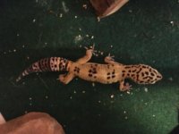 IMG_1512.jpg IMG_1512.jpg