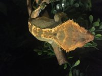 IMG_3686.jpg