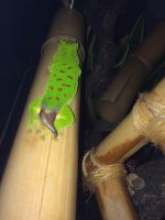 IMG_2200.jpg