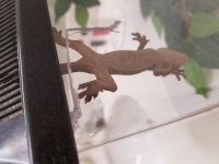20170818_223039.jpg