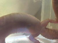 IMG_2451.jpg IMG_2451.jpg