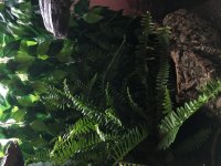 IMG_8013.jpg