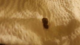 IMG_20170911_12632.jpg