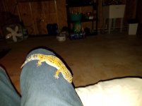 20170920_191625.jpg