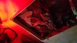 20170921_205611.jpg