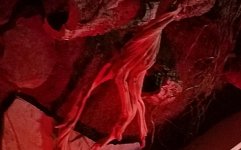 20170923_073815.jpg
