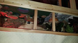 20170923_074152.jpg
