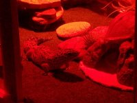 20170923_203830.jpg
