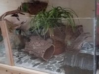 20170924_145037.jpg