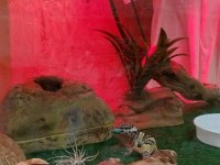 20170924_093232.jpg
