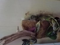 20170925_163354.jpg