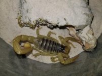 20170928_200900.jpg 20170928_200900.jpg