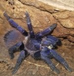 20170829_203341.jpg 20170829_203341.jpg