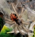 20170512_231538.jpg 20170512_231538.jpg