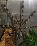 20170909_000919.jpg 20170909_000919.jpg