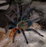 20170829_203515.jpg 20170829_203515.jpg