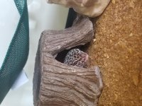 20170805_160121.jpg