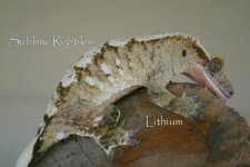 lithium.jpg