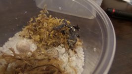 20171015_195854.jpg