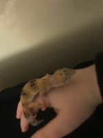 IMG_0550.jpg IMG_0550.jpg