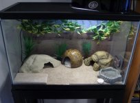 TankLayout4.jpg TankLayout4.jpg