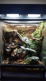 Gecko Viv.jpg