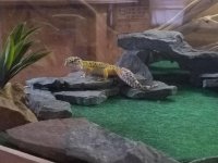20180208_074113.jpg 20180208_074113.jpg