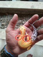 1521331896443.jpg 1521331896443.jpg