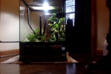 Photo on 4-12-18 at 7.55 PM.jpg