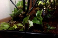Photo on 4-12-18 at 7.55 PM #2.jpg