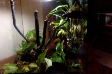 Photo on 4-12-18 at 7.55 PM #3.jpg