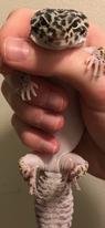 4ADD778D-A155-4F2D-BBCB-63FF1F42CB71.jpg