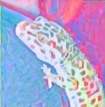 img_-20042018_1026.jpg