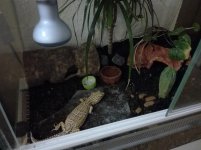 IMG_20180421_222147.jpg IMG_20180421_222147.jpg