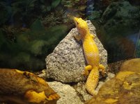 IMG_20180411_184736.jpg IMG_20180411_184736.jpg