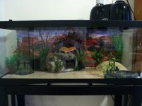 TankLayout20Gallon.jpg TankLayout20Gallon.jpg