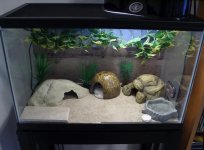 TankLayout10Gallon.jpg TankLayout10Gallon.jpg