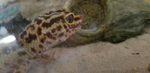 20180508_161536.jpg