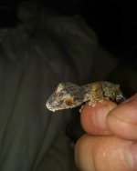 IMG_20180509_110730_322.jpg