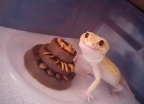 18739946_10210750778463251_2050646119042123611_n.jpg 18739946_10210750778463251_2050646119042123611_n.jpg