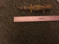 55E03A47-A555-4BB4-A00B-BB82919F7D3B.jpg 55E03A47-A555-4BB4-A00B-BB82919F7D3B.jpg