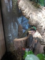 IMG_20180617_113629.jpg